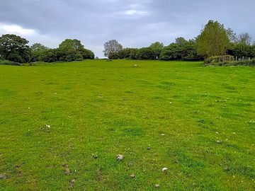 View of the site