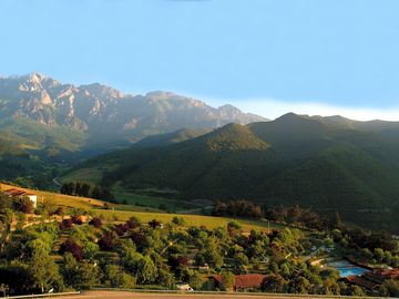 View across the site