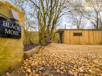 Exterior of black moss