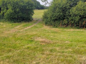 Seven acres for wild camping