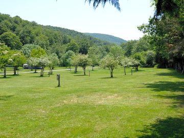 Spacious grass pitches