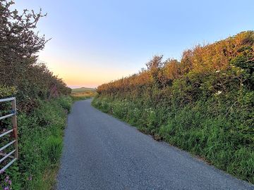 Lane to campsite