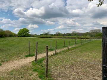 Grass pitches