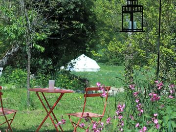 Secluded orchard for a relaxing drink