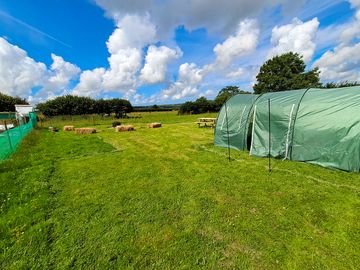 Rental tent sleeping up to 6