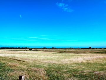 View from the site