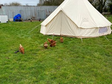 Bell tent