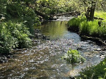 Boundary stream