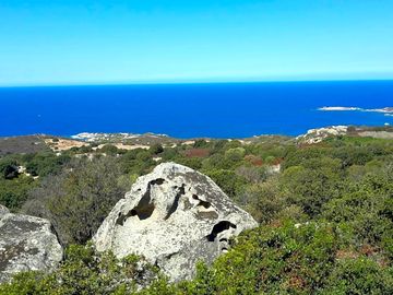 Views from the site