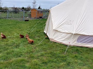 Bell tent