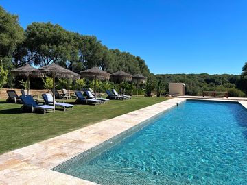Pool and sun loungers