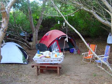 Tenting under trees