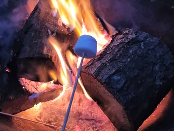 Kids toasting marshmallows on a campfire