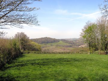 Rural views