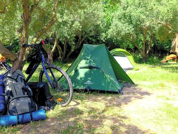 Partially shaded tent pitches