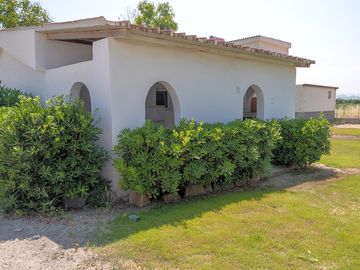 Bungalow exterior