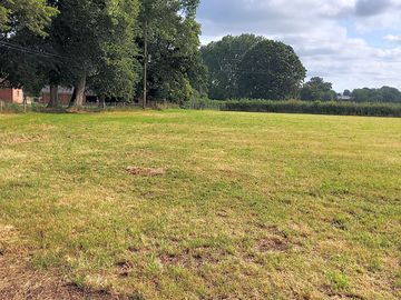 Dog walking field