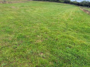 Camping field