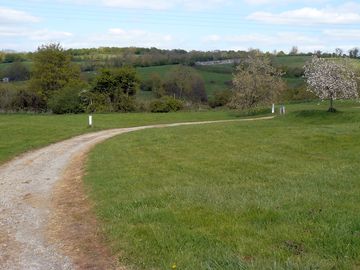 Spacious grass field