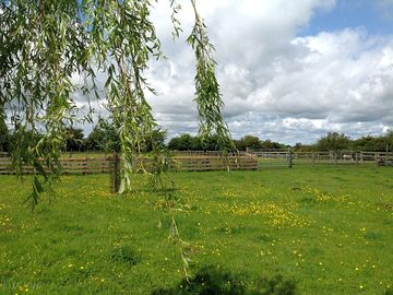 Camping field