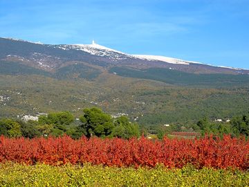 The view to snow-capped mont ventoux