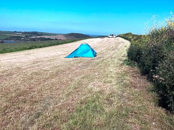 Quiet day on the site