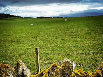 Views around site