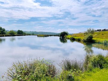 Lake view