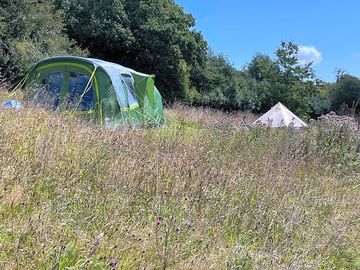 Paddock pitches