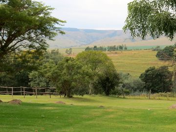Pitches on luscious grass