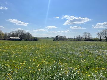 Camping meadow