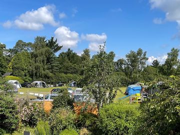Overview of the leafy site