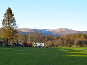 Grass pitches