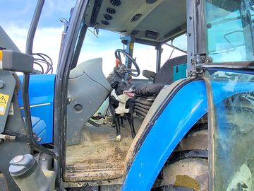 The site manager