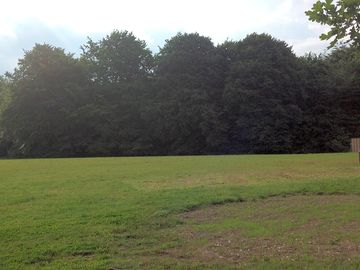 The paddock looking east