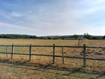 Spacious field
