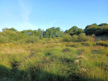 Camping meadow