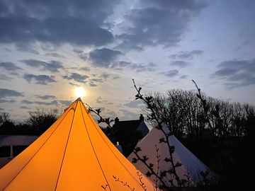 View from a bell tent at night