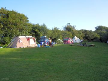 Guests in the meadow