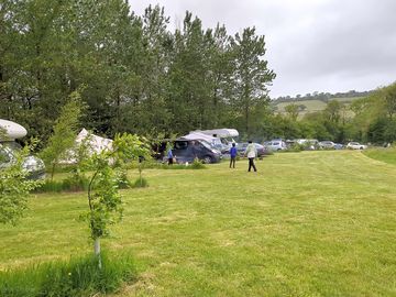 Around the site