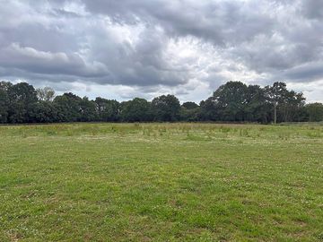 Open park land