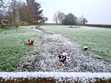 A frosty morning, play time for our kids