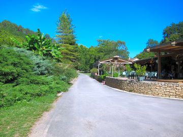Brasserie and bar