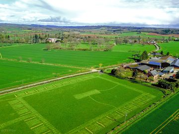 Camp amongst the beautiful herefordshire scenery, and be surrounded by sunflowers and wildflowers