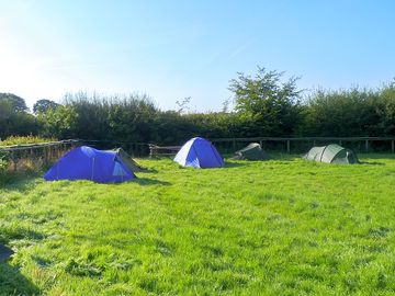 Tent pitch area