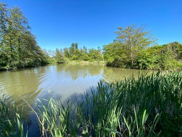 Lakes