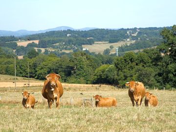 Rural site