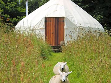 Yurt