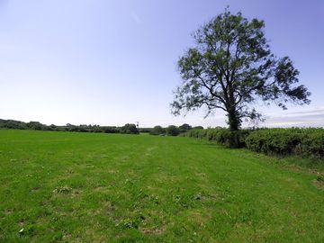 Grass pitches