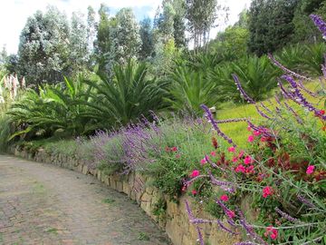 Entrance gardens